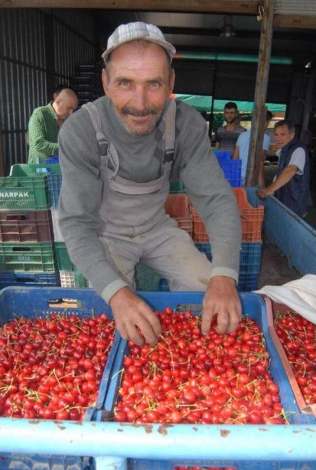 Kirazda Iç Piyasada Sorun Yok, Ihracat Ürününü Don Vurdu