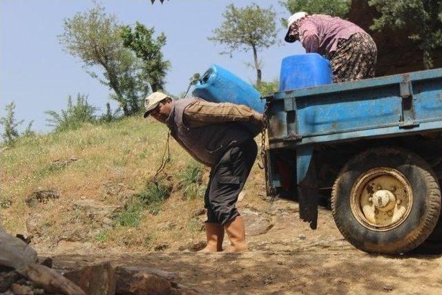 Sularını Sırtlarında Taşıyorlar