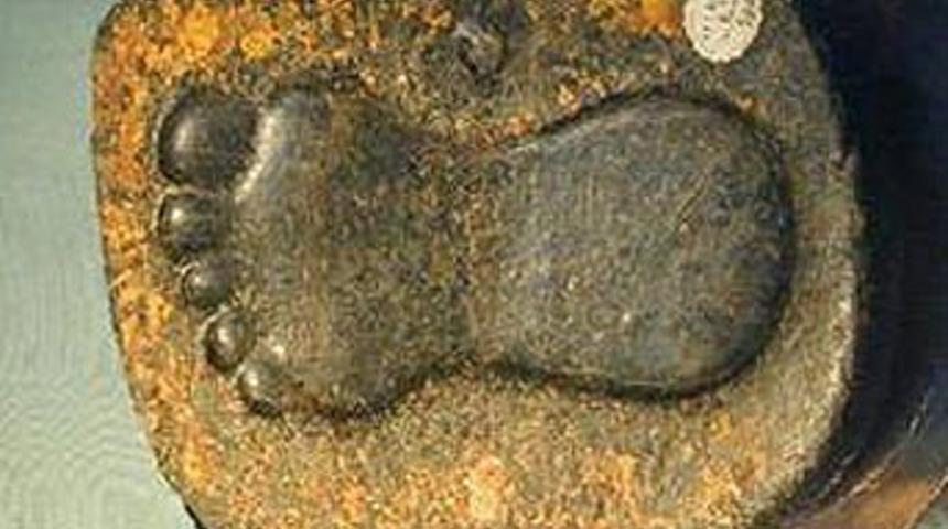 Hz. Peygamberin beden dili