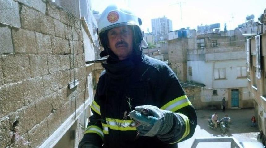 Kilis&rsquo;te İtfaiyeden Ser&ccedil;e Operasyonu