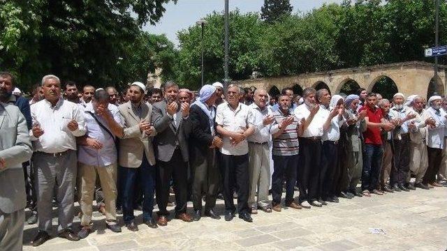 Mısır&rsquo;daki İdam Kararlarını Protesto Ettiler 1
