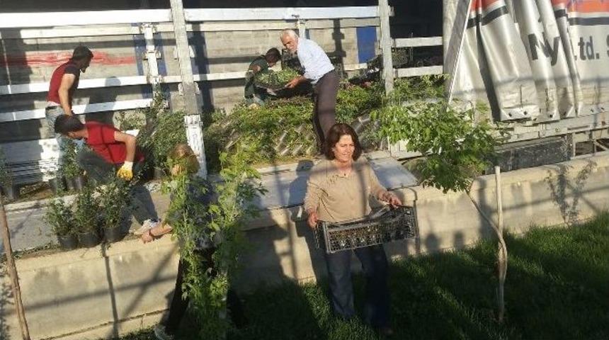 Y&uuml;ksekova &Ccedil;i&ccedil;eklerle Renklendirilecek