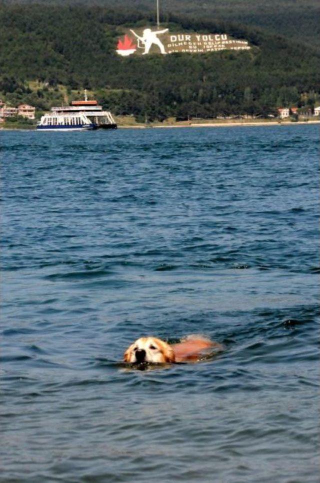 Boss un Deniz Keyfi 1