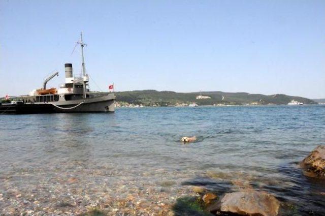 Boss un Deniz Keyfi 3