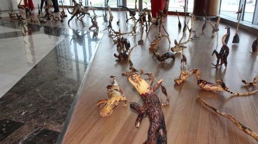 Ağa&ccedil; K&ouml;kleri Sanat Eseri Oldu