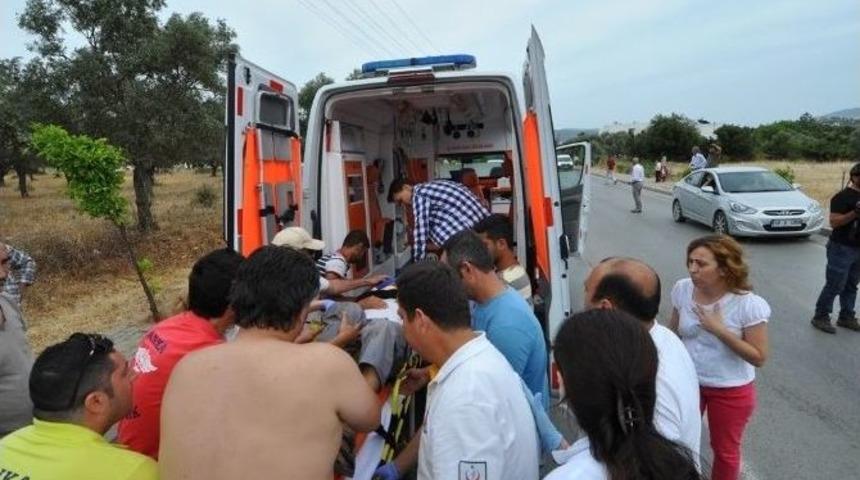 Bodrum&rsquo;da Trafik Kazası: 1 Yaralı
