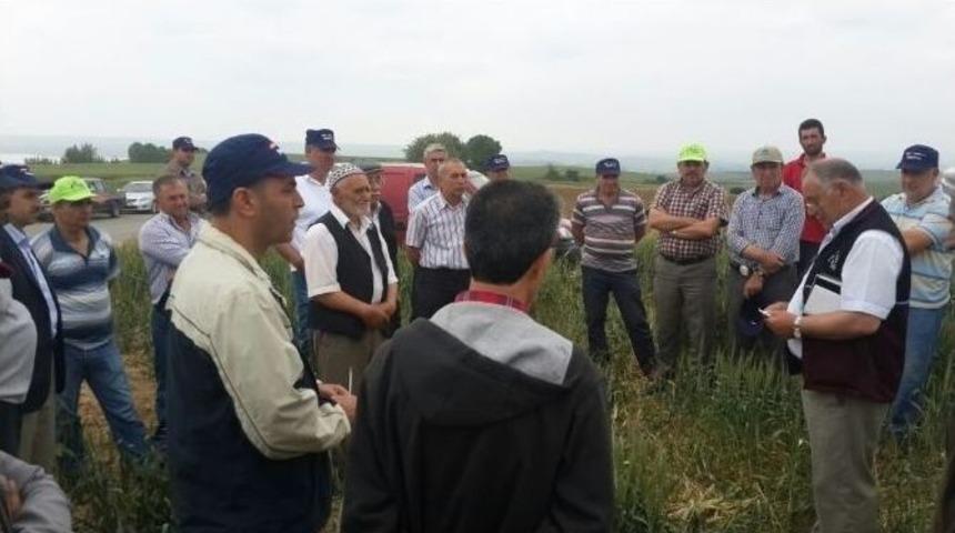 Malkara&rsquo;da &Ccedil;ift&ccedil;ilere Tarla Okulu Eğitimi Verildi