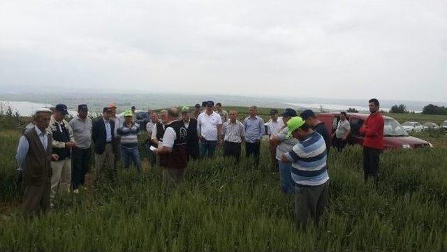 Malkara’da Çiftçilere Tarla Okulu Eğitimi Verildi