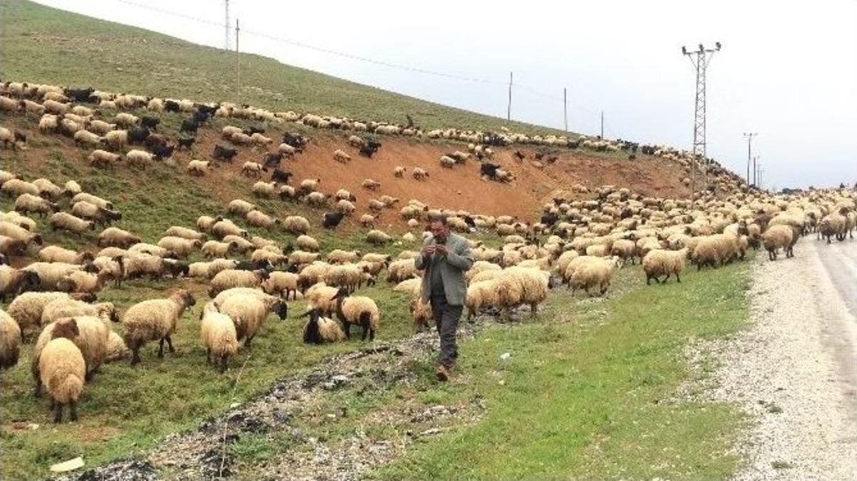 G&ouml;&ccedil;erlerin Zorlu Yolculuğu