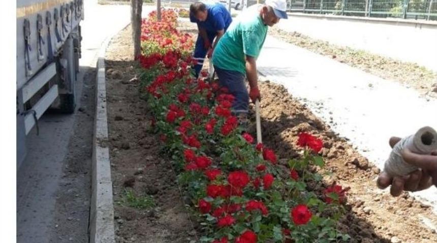 Kartepe&rsquo;de Ref&uuml;jlere &Ccedil;i&ccedil;ek Dikildi