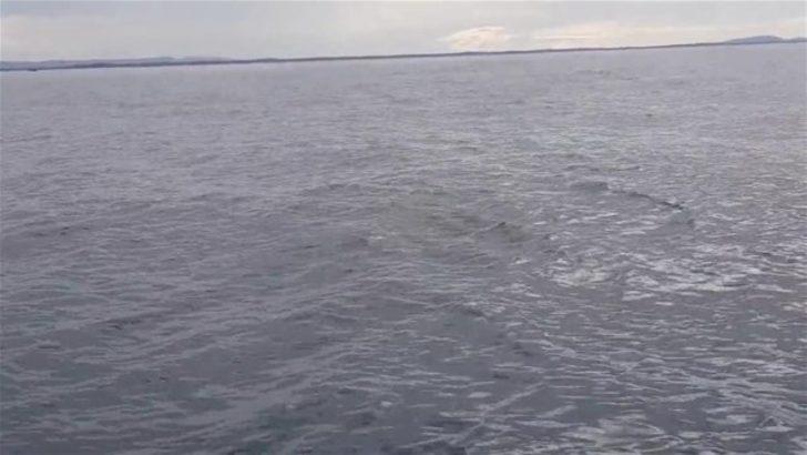 Bir anda ortaya çıktı  G1