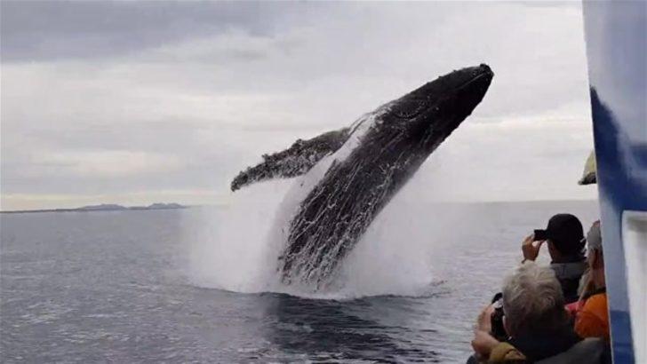 Bir anda ortaya çıktı  G2