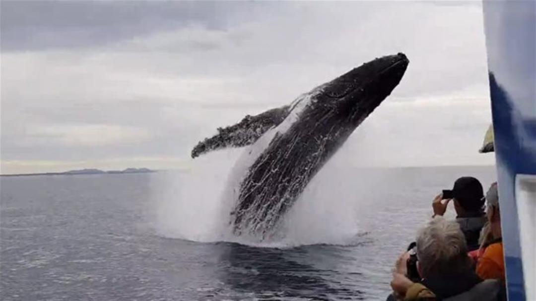 Bir anda ortaya &ccedil;ıktı