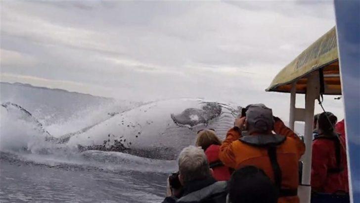 Bir anda ortaya çıktı  G3