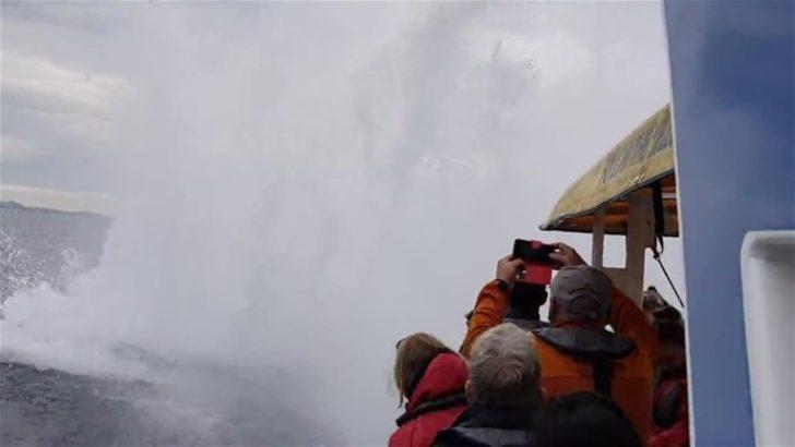 Bir anda ortaya çıktı  G4