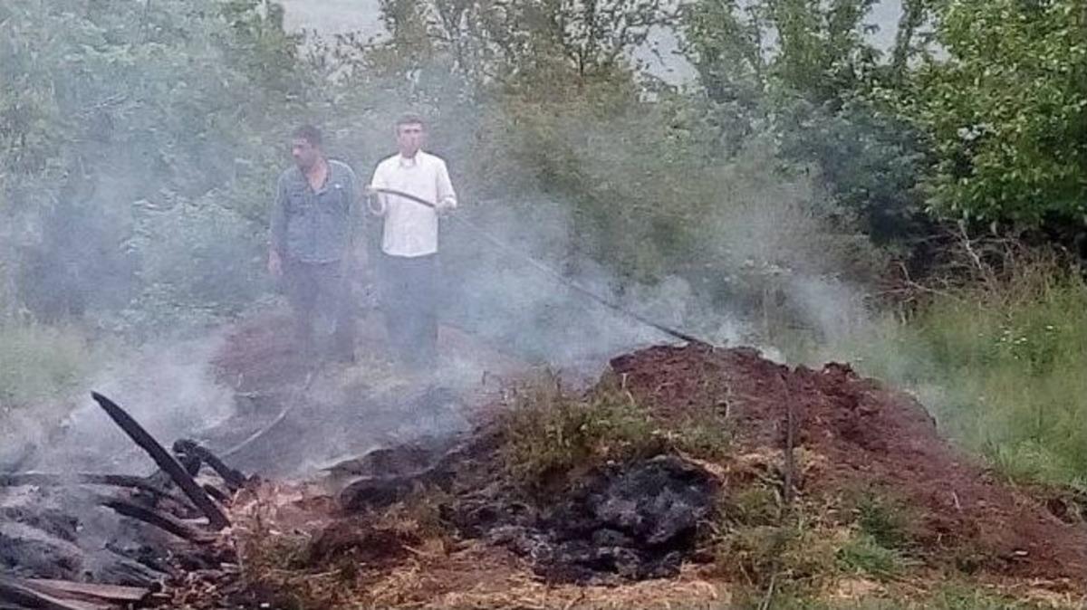 Sakarya&rsquo;da Koruluk Yangını