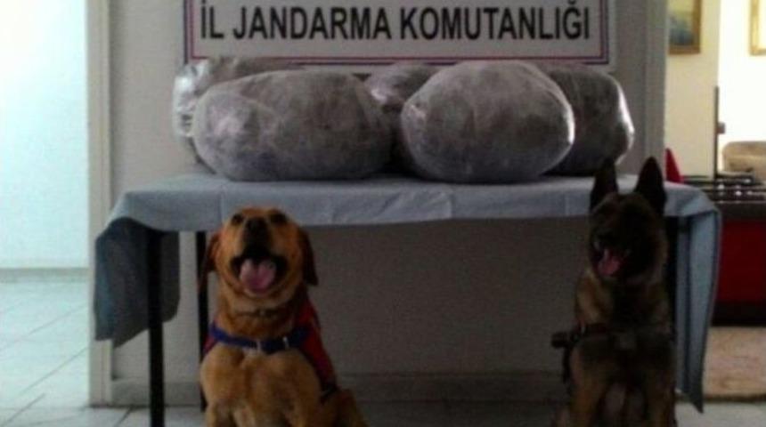 2 Eskort Ara&ccedil;la Uyuşturucu Taşıyan 5 Ş&uuml;pheli Tutuklandı