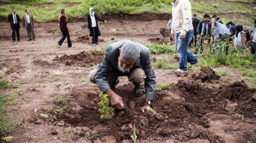 Ahlatlı 'sofu Dayı' 10 Bin Fidan Dikti