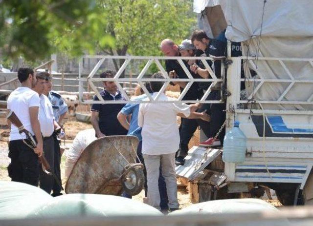 Babasını Kanlar Içinde Görünce Eline Tüfeği Alıp Çatıya Çıktı