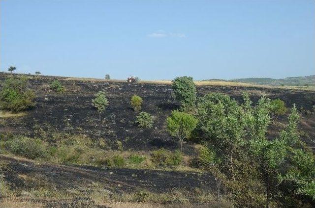 Buğday Tarlası K&uuml;l Oldu 1