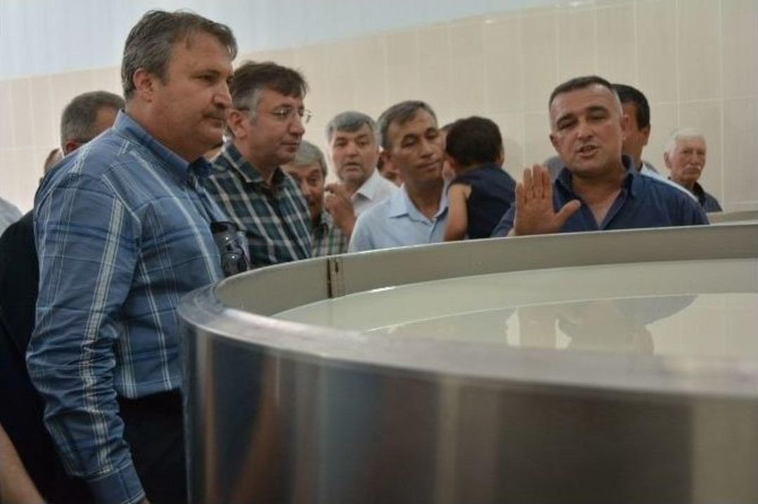 S&uuml;t &Uuml;reticileri Şimdiden Kazanmaya Başladı