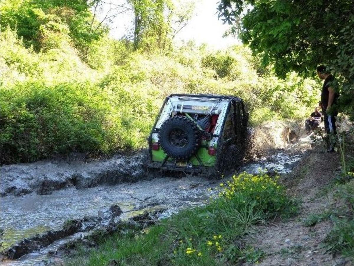(&ouml;zel Haber) &rsquo;bunlar &Ccedil;ıldırmış Olmalı&rsquo; Dedirten G&ouml;r&uuml;nt&uuml;ler