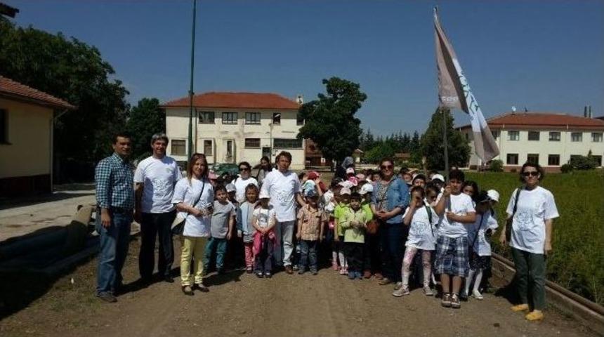 &Ouml;ğrencilerin Orman Fidanlığı Gezisi