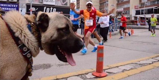 Erzurum'da 'uluslararası Yarı Maratonu'na Yoğun Katılım