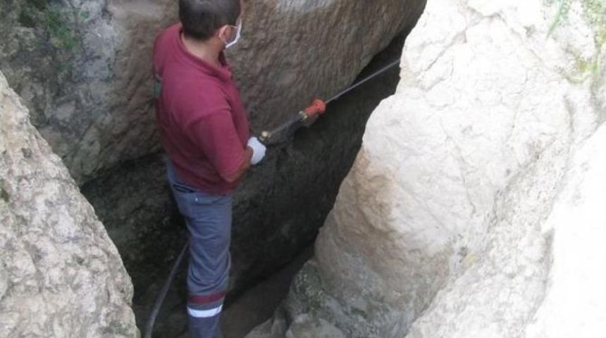 Han İl&ccedil;esi İla&ccedil;lanma &Ccedil;alışmaları Yapıldı