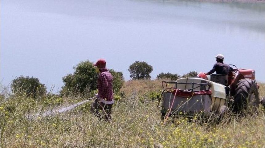 &Ccedil;ekirge İle M&uuml;cadele &Ccedil;alışmaları Devam Ediyor