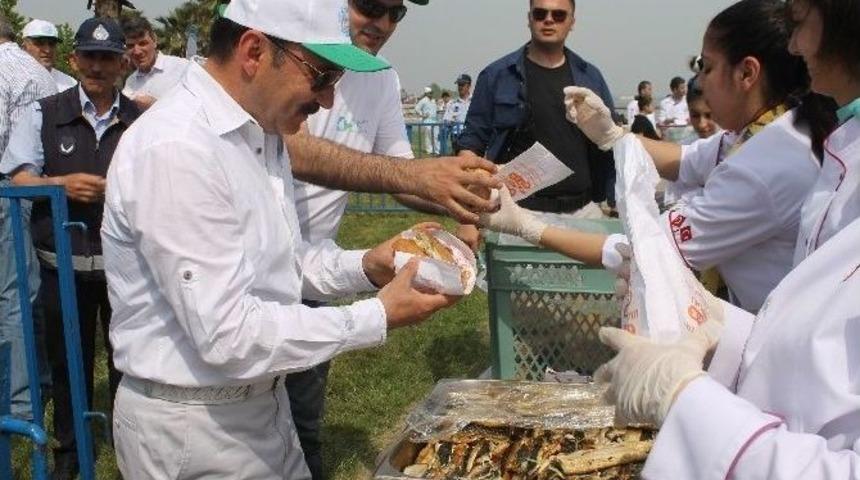 Deniz Festivali Coşkuyla Başladı