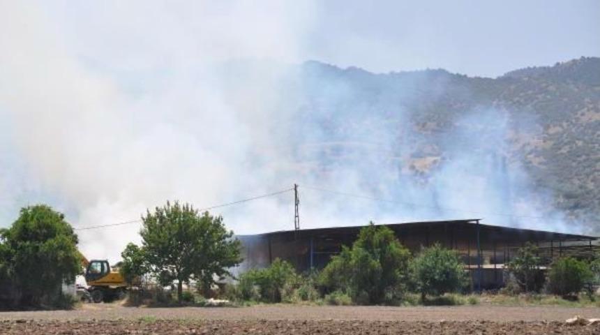 Yangın, 600 Balya Samanı K&uuml;le &Ccedil;evirdi