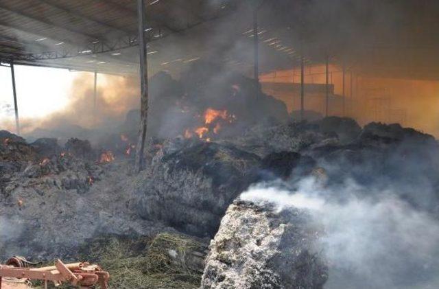Yangın, 600 Balya Samanı Küle Çevirdi