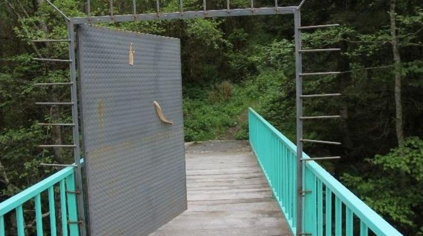 Rize&rsquo;de &Ccedil;evre D&uuml;şmanlarını K&ouml;pr&uuml;deki Demir Kapı Da Durduramadı