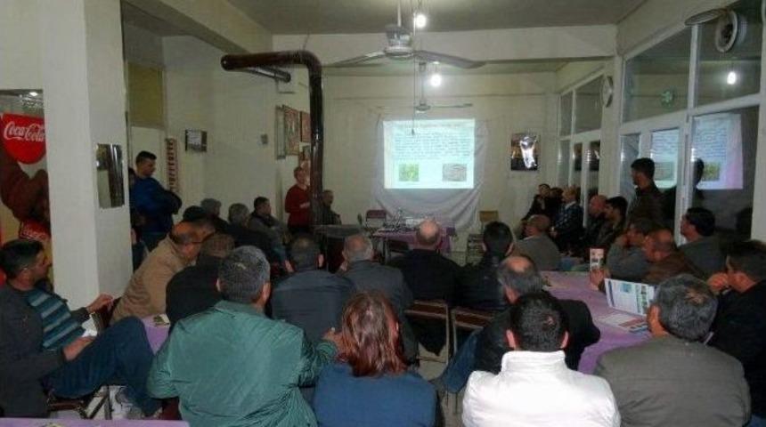 &Uuml;z&uuml;m Sekt&ouml;r&uuml; Salkım G&uuml;vesi İle İla&ccedil;sız M&uuml;cadele Edecek