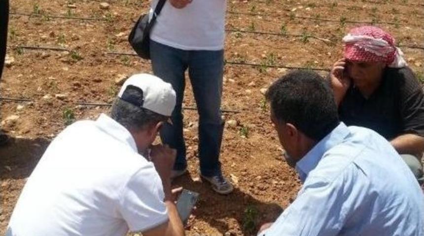 Tarlaların Verimliliği Kontrol Edildi