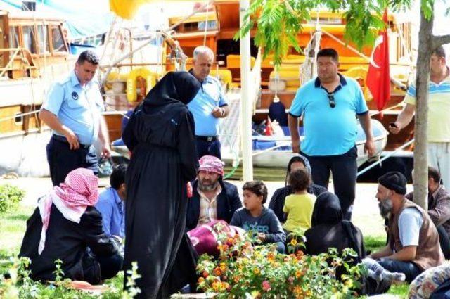 Suriyeli Türkmenler Turizm Sezonu Nedeniyle Bodrum'dan Söke'ye Gönderildi