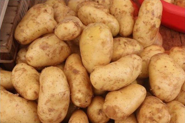 Patates Fiyatları Vatandaşı Sevindirdi