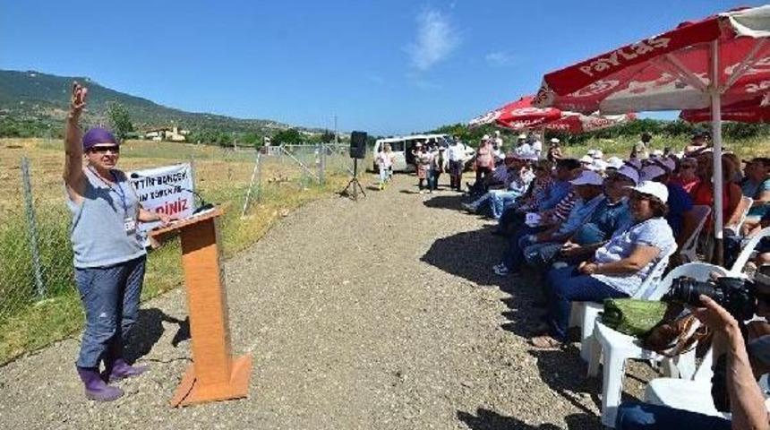 Fo&ccedil;a'da 'yırca Zeytin Bah&ccedil;esi' Oluşturuldu