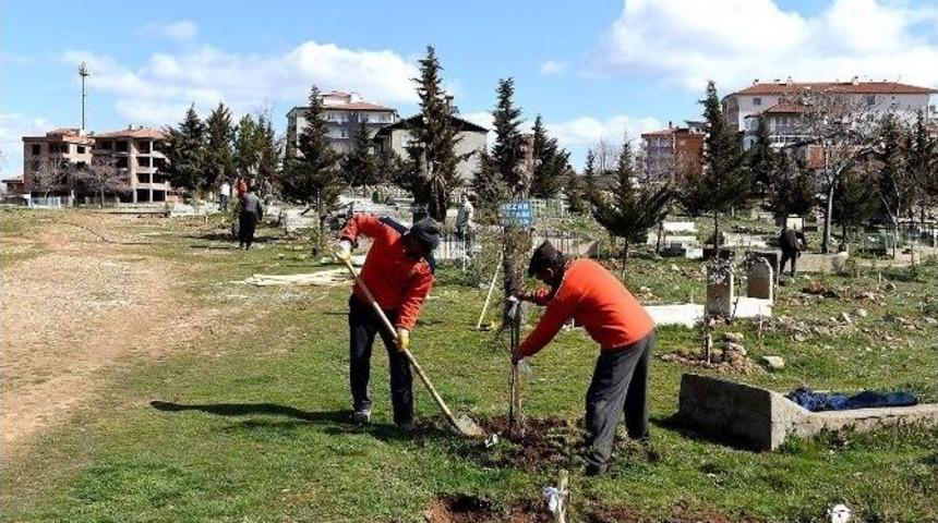Mezarlıklarda, Temizlik Ve Bakım &Ccedil;alışmaları Devam Ediyor