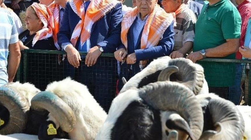 Yarımada &Uuml;reticisine Can Suyu