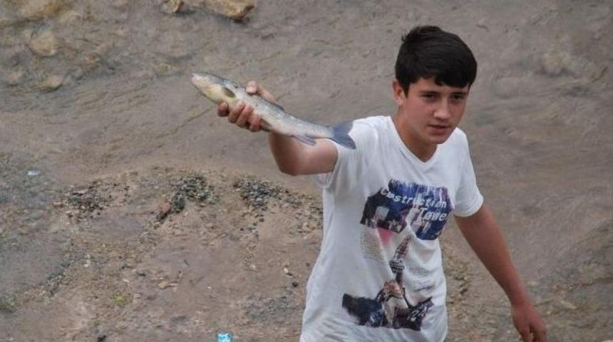 Tokat Behzat Deresi&rsquo;nde Balık &Ouml;l&uuml;mleri