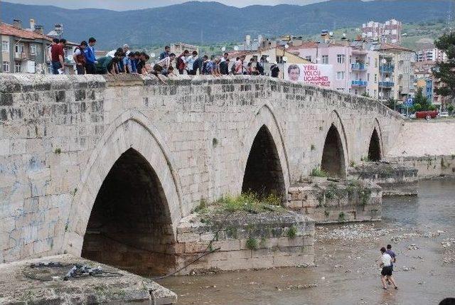 Tokat Behzat Deresi’nde Balık Ölümleri