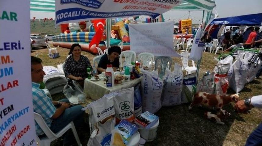 D&uuml;nya &Ccedil;ift&ccedil;i G&uuml;n&uuml; Şenlikle Kutlandı