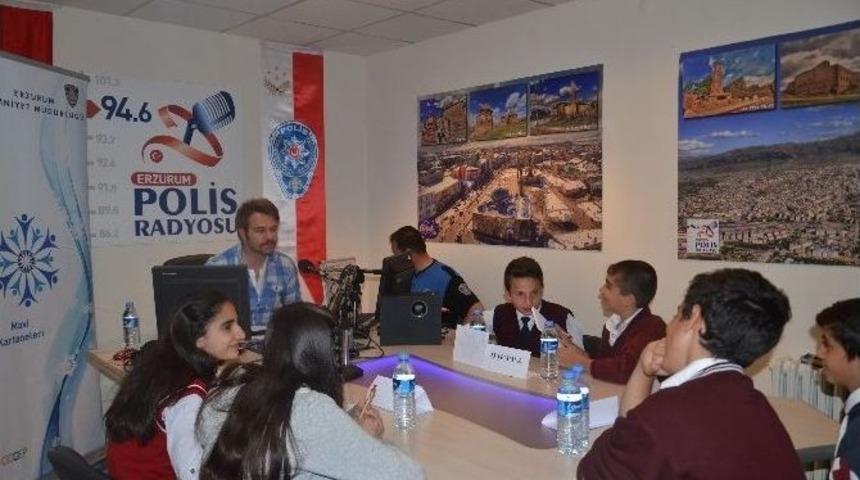 Mavi Kartaneleri Yarışıyor