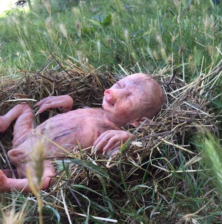 Sosyal medyayı sallayan garip canlı! G2