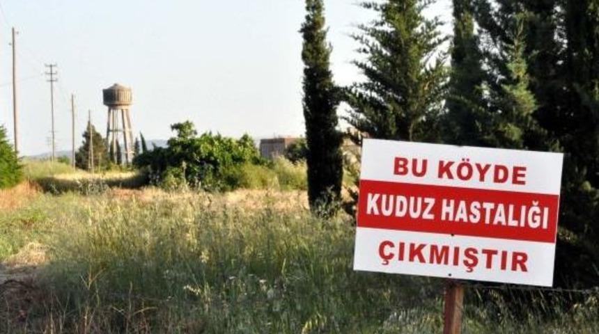 Adıyaman'da Kuduz Hastalığı Karantinası