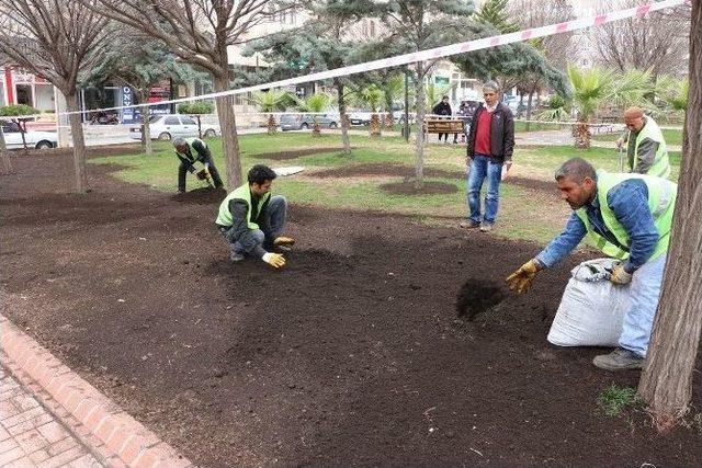 140 Park Haliliyelilere Nefes Aldıracak