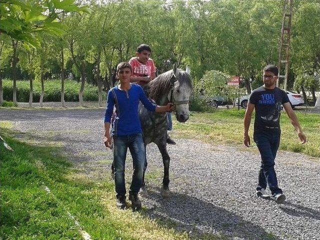 Osmanlı Ocakları Develi Yönetimi At Biniciliği Eğitimi Aldı