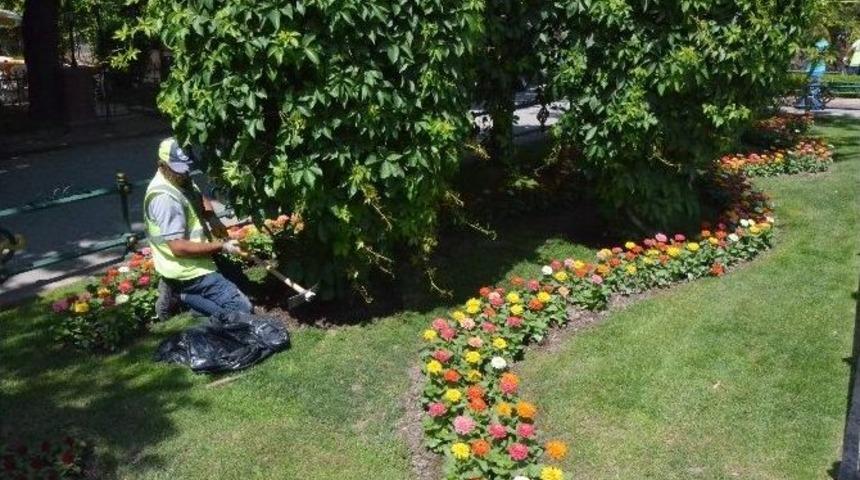 K&ouml;pr&uuml;başı Mevkii Artık Daha Renkli